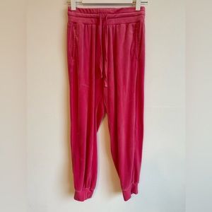 Anthropologie Pink Velvet Sweatpants